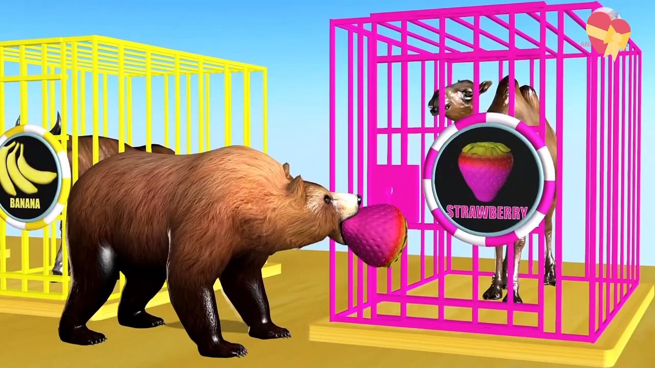 Wrong Fruits Colors Drop on Road for Animals and Cages Cartoon for Children  Like and follow our page to watch more funny and interesting video. Thank you!