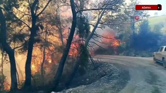 Adana'da oran yangını: Tedbir amaçlı 10 ev tahliye edildi