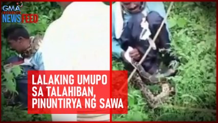 Download Video: Lalaking umupo sa talahiban, pinuntirya ng sawa | GMA Integrated Newsfeed