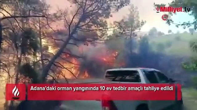 Adana'da orman yangını! Evler tahliye edildi
