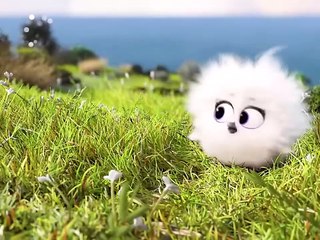 Cartoon for kids best animated clip for kids