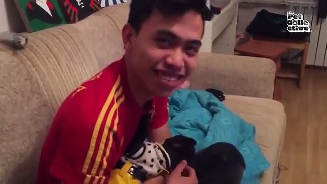  FUNNIEST Pets from Paris | French Bulldogs + Poodles 