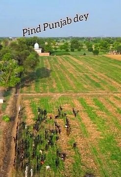 Village droun camera view | beautiful view of the village mostly people of village are very nice old culture