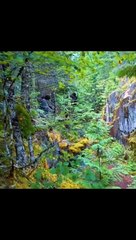 The blind man single-handedly killed everyone