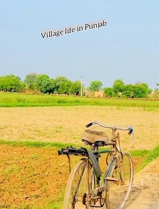 World village life very unique and wonderful village life in Punjab India and Pakistan traditional village life in Punjab apna sohna punjab