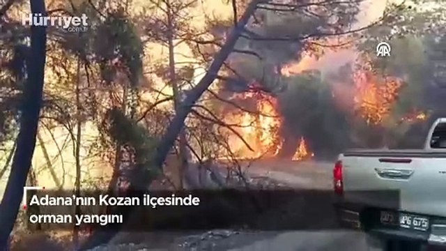 Adana'nın Kozan ilçesinde orman yangını
