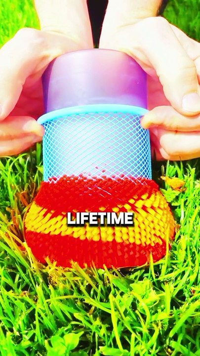 Crazy Facts You Never Knew! #facts#interesting facts