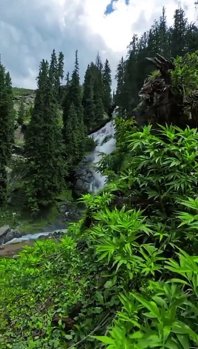 Water fall and green