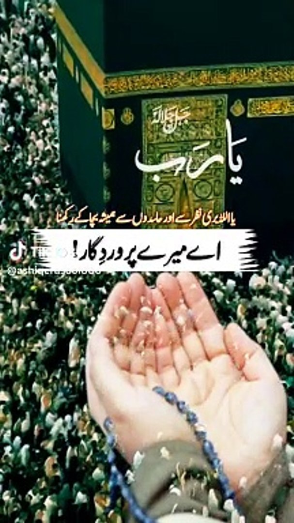 All video