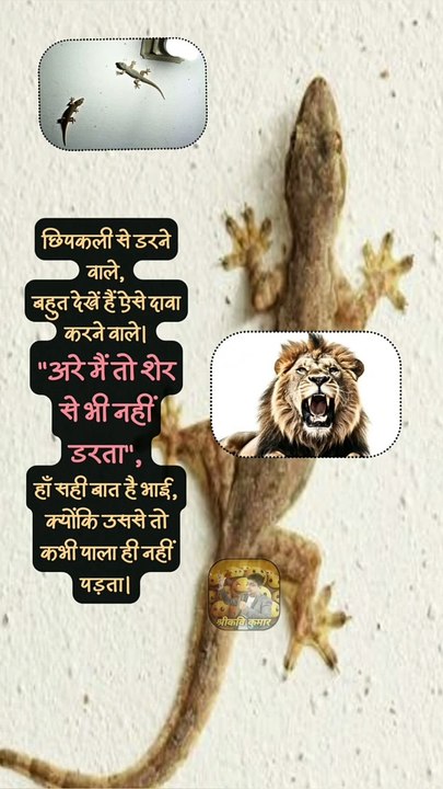 मैं तो शेर से भी नहीं डरता   #शॉर्ट्स #शॉर्ट #शेर #छिपकली #श्रीकविकुमार