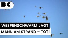 Italien: Urlauber flieht vor Wespen und stirbt