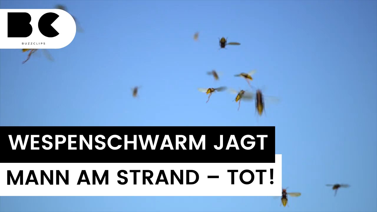 Italien: urlauber flieht vor wespen und stirbt