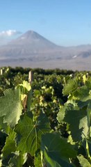 Mount Ararat, Armenia ||Nature Travel Official