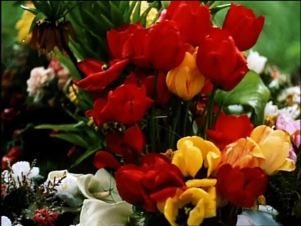 Die Kinder von Golzow-Das Leben von Brigitte und Marcel