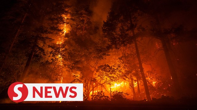 Park Fire scorches over 360,000 acres in Northern California, 12% contained