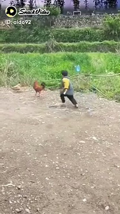 Funny video