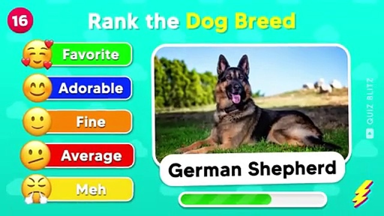Rate_the_TOP_50_DOG_BREEDS__Dog_Tier_List_(0)