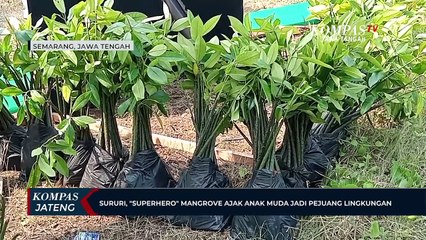 Sururi, Superhero Mangrove Ajak Anak Muda jadi Pejuang Lingkungan