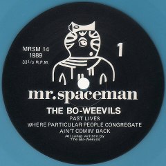 The Bo-Weevils – Where Particular People Congregate : Rock 1989.