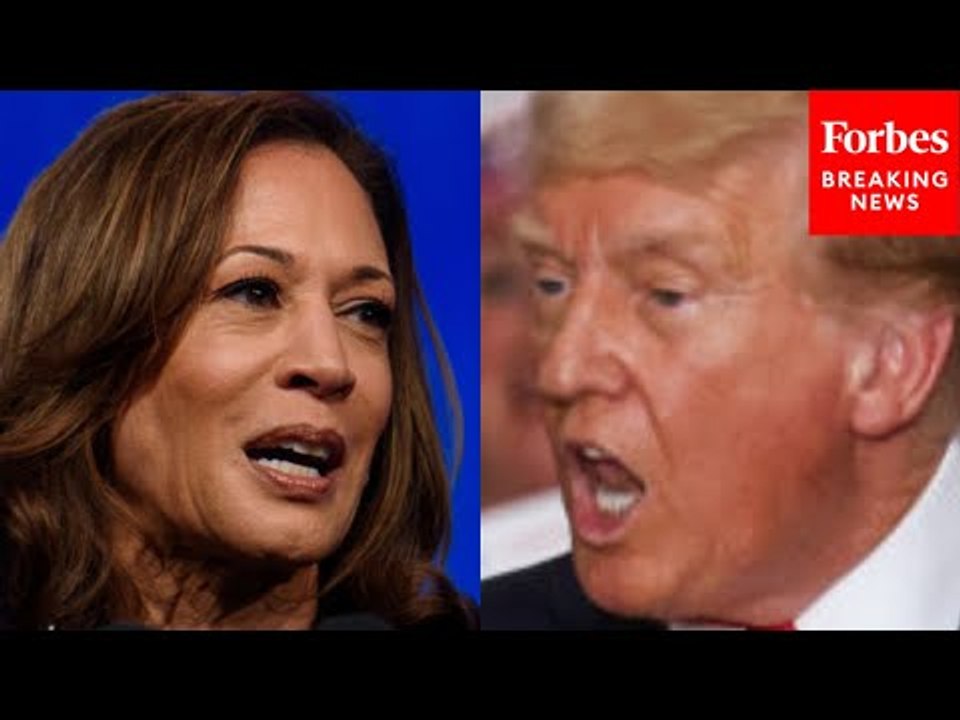 'Open Border Zealot': Trump Eviscerates 'Border Czar' Kamala Harris For Biden Admin Border Policies