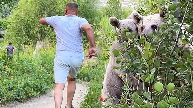 Bitlis'te göl kenarında pikniğe giden aile ayılarla karşılaştı