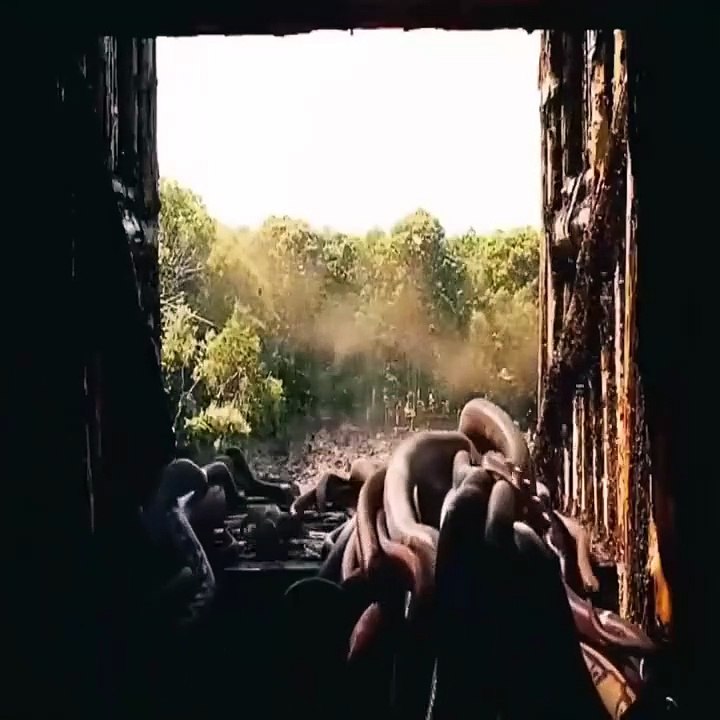 Movie seen