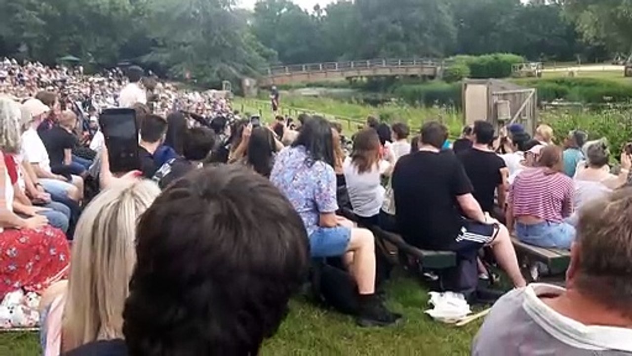 The Falconer's Quest at Warwick Castle