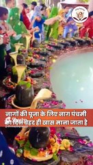 8 या 9 अगस्त, कब है नाग पंचमी, जानें सही तिथि व मुहूर्त। Nag Panchami 2024