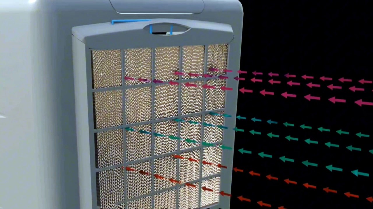 Air Cooler and Working & Capsule Endoscope Working 3D Animation