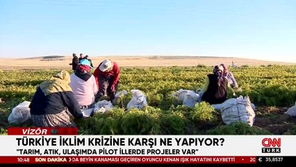 İklim krizini yenmek için ne yapılıyor? Türkiye hangi önlemleri alıyor, tehlike ne boyutta?