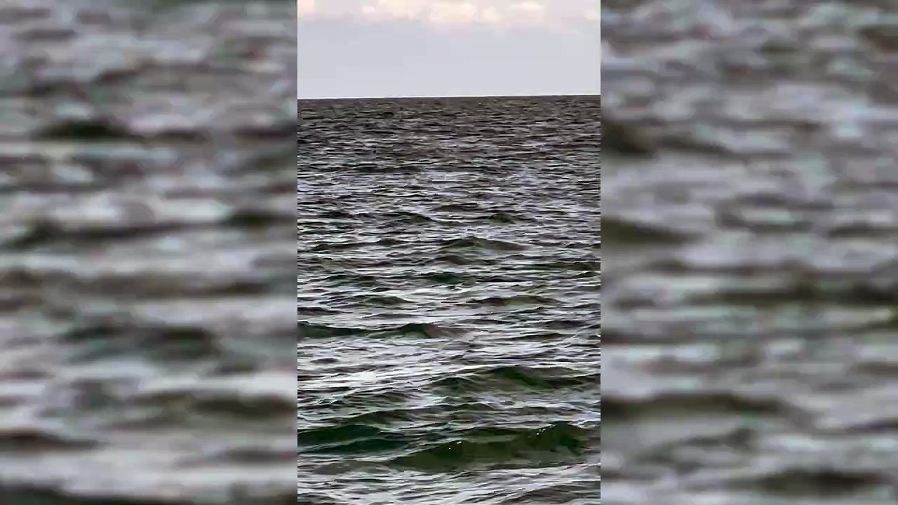 Aberystwyth woman films shark fin in UK waters whilst on fishing trip