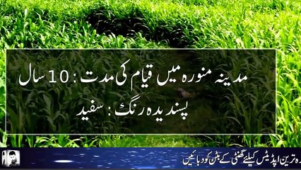 Download Video: Hazrat Muhammed SAW ke Bare Main Malomat - Information About Prophet Muhammed SAW - Rohail Voice