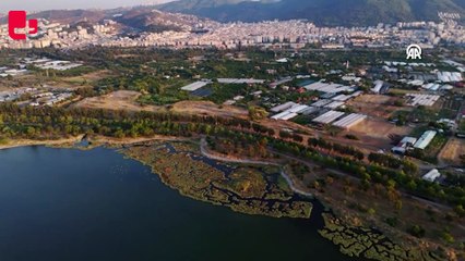 İzmir Körfezi'nin güneyinde yer alan Çakalburnu Lagünü havadan görüntülendi
