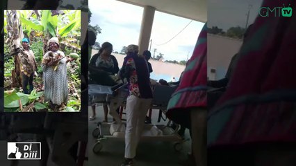 [DIdîîî] Conflit Homme-faune : drame à Ekouk, les populations montent au créneau