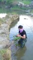 Giant clams super sized precious pearls