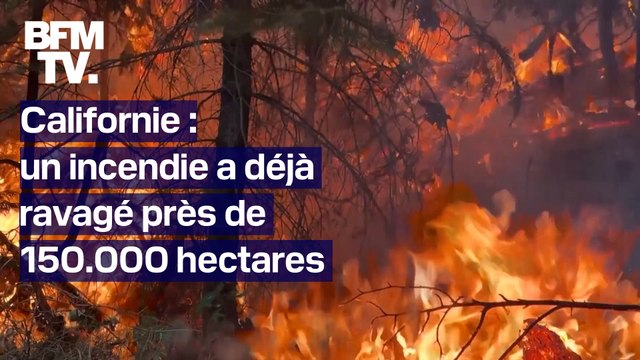 L’un des plus importants incendies de l’histoire de la Californie a déjà ravagé près de 150.000 hectares