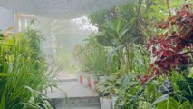 Woman enjoying bathing in rain barely avoids an ELECTRIFYING situation