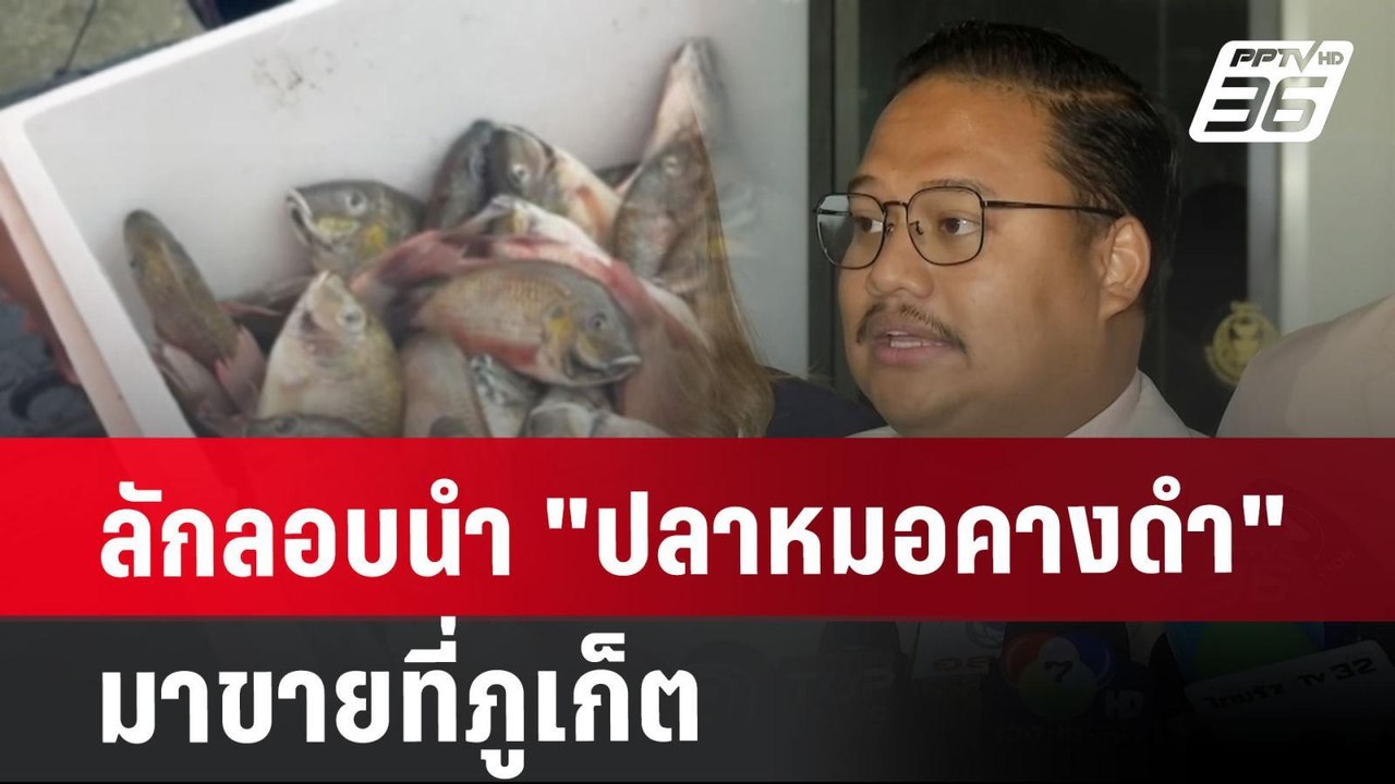 ลักลอบนำ "ปลาหมอคางดำ" มาขายที่ภูเก็ต | เข้มข่า...