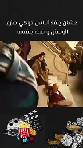Action - Fight _Lion - Movie