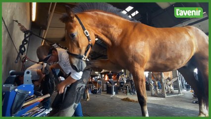 La forge, un des incontournables de la Foire de Libramont