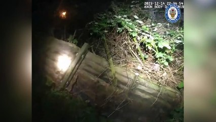 Dramatic moment Birmingham gunman Ryan Carroll found hiding in a bush by police