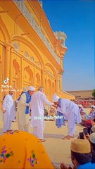 Peer pagaro ❤️❤️❤️❤️