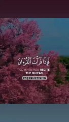 quran-verses-beautiful-quran-recitation-quranrecitation-quranicvers-islam-quran-shorts