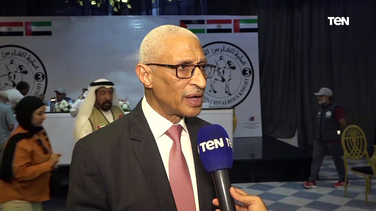 وصول أكبر سفينة مساعدات لغزة لميناء العريش قادمة من الإمارات