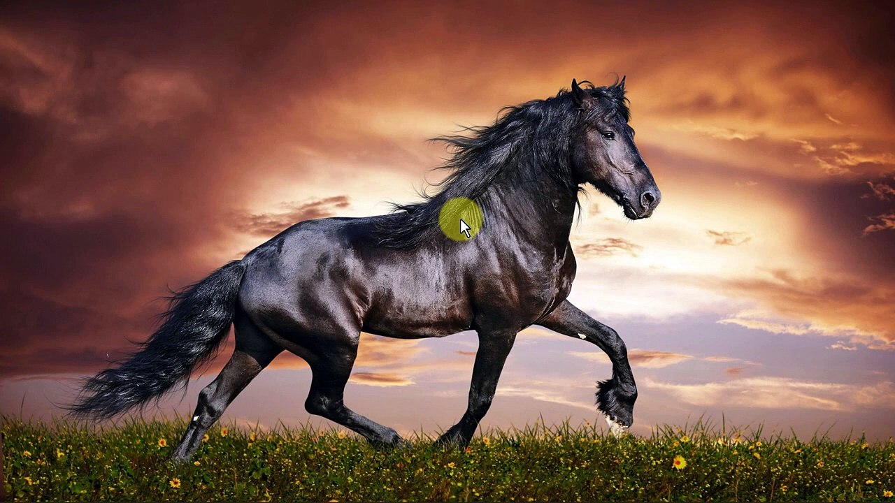 Como Gravar Áudio do PC Windows com Facilidade (2 Ótimas Formas)