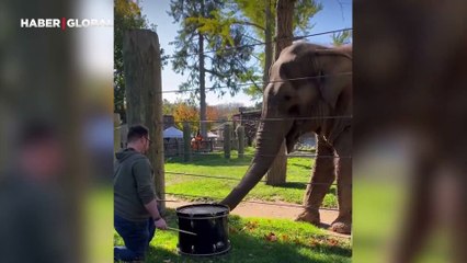 Davulun sesi file yakından da hoş geldi