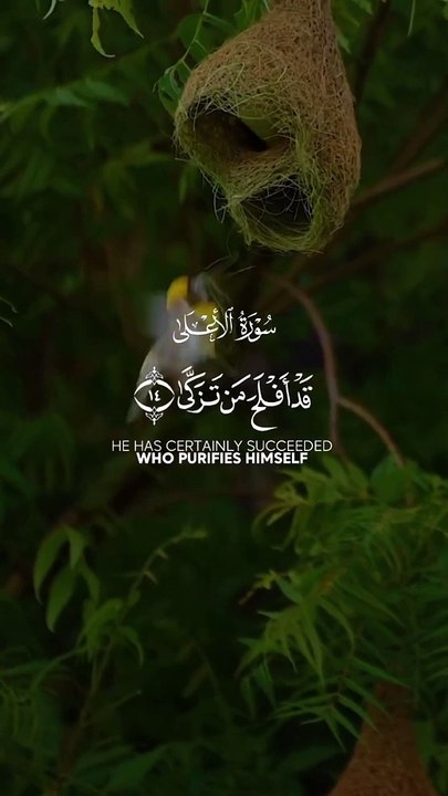 Tilawat.e.Quran