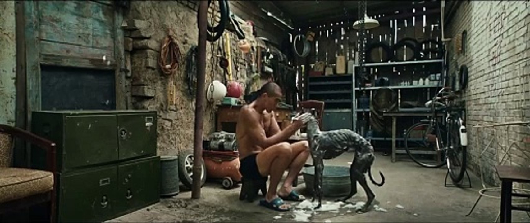 Black Dog - Official UK Trailer