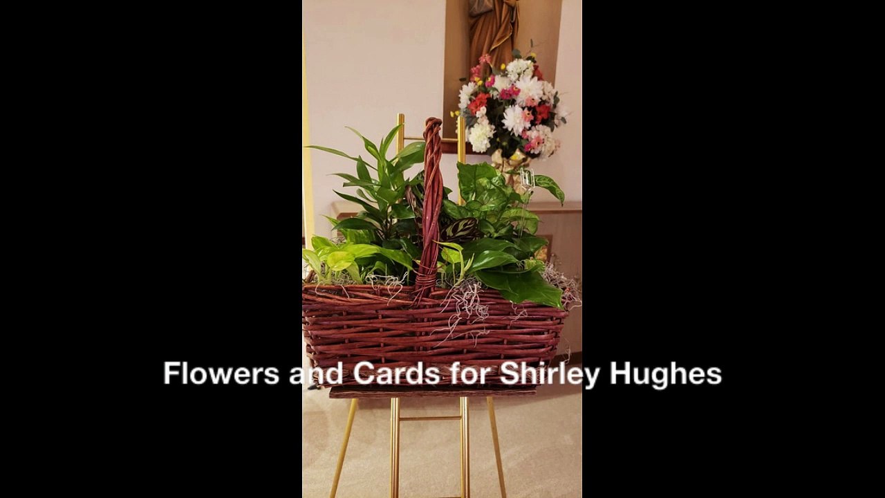 Flowers and Cards for Shirley Hughes