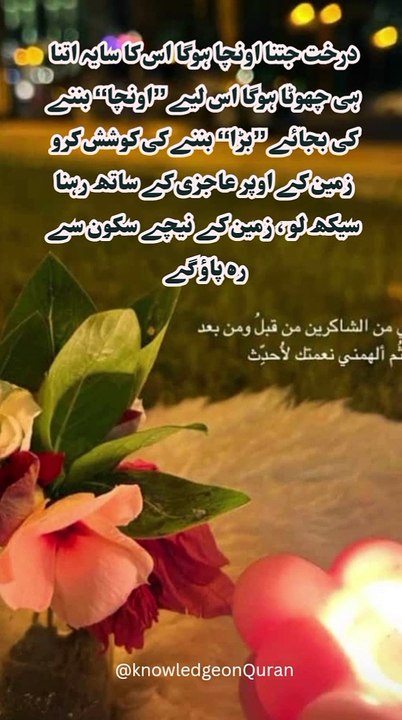 Islamic motivation quotes for humanity